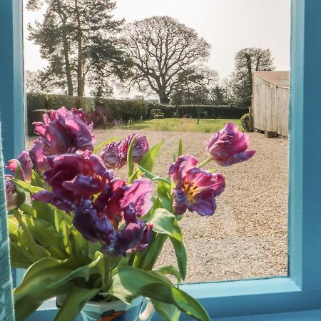 Foxglove Cottage ยอร์ค ภายนอก รูปภาพ