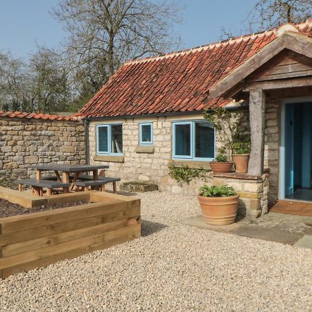 Foxglove Cottage ยอร์ค ภายนอก รูปภาพ