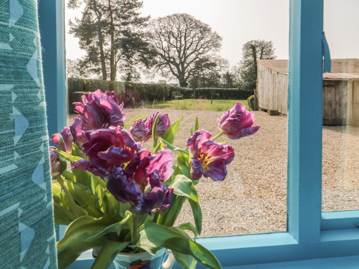 Foxglove Cottage ยอร์ค ภายนอก รูปภาพ