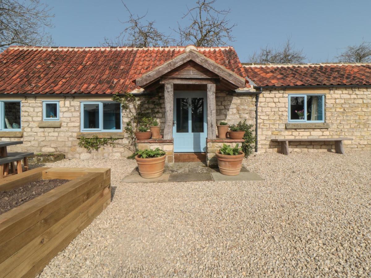 Foxglove Cottage ยอร์ค ภายนอก รูปภาพ